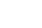 logo nz steel2x